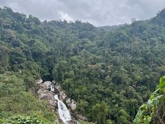 -海南热带雨林国家公园吊罗山景区