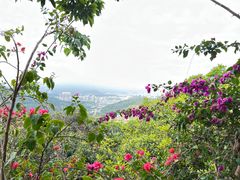 -东莞观音山旅游风景区