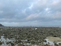 -三亚西岛海洋文化旅游区