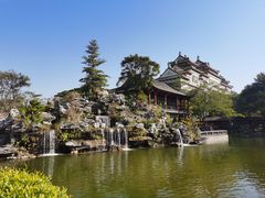 -顺峰山公园