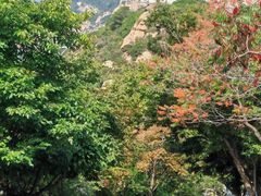 -青岩寺风景区