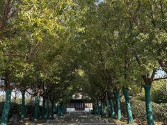 -云龙湖旅游景区