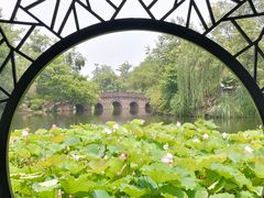 -桂湖森林公园