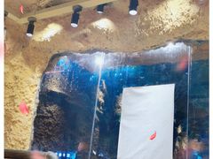 -愿者上钩·纸包鱼(翻身店)