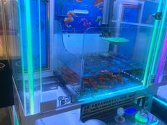 -汤姆熊欢乐世界(销品茂店)