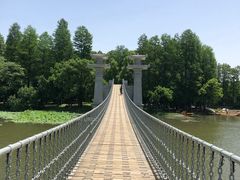 -东湖落雁景区