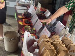 -马陆小张葡萄园农家乐