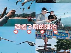 -海驴岛(荣成市)
