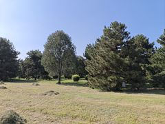 -秦始皇帝陵博物院-丽山园