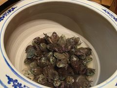 -鸽子窝(黄村店)