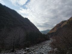 -黑河国家森林公园