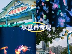-海合安成都极地海洋公园