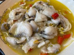 藤椒鱼片-风波庄(云蝠大厦店)