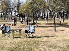 -洨河生态公园
