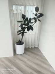 -HEYAN荷妍专业脱毛连锁机构