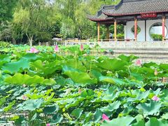 -武汉园博园(武汉自然博物馆)
