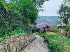 -树山生态村