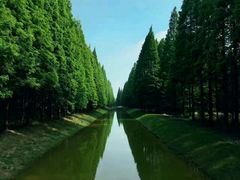 -黄海国家森林公园