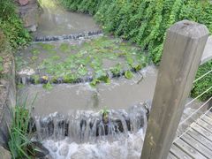 -苏州河梦清园环保主题公园