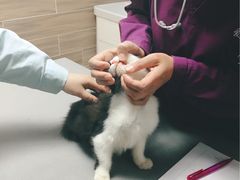 -爱侣宠医·鹦鹉专科·小型哺乳类·异宠专科(灵石路店)