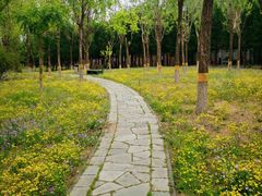 -东升八家郊野公园