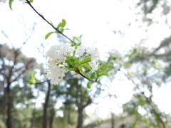 -芦苇荡·酸汤鱼(回龙观店)