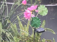 -大妙火锅·非物质文化遗产(东湖公园店)