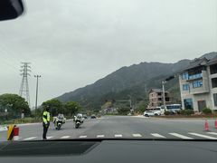 -杨家堂村
