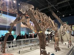 -国家自然博物馆