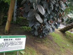 -长春农博园
