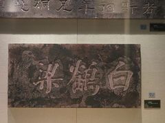 -白鹤梁水下博物馆