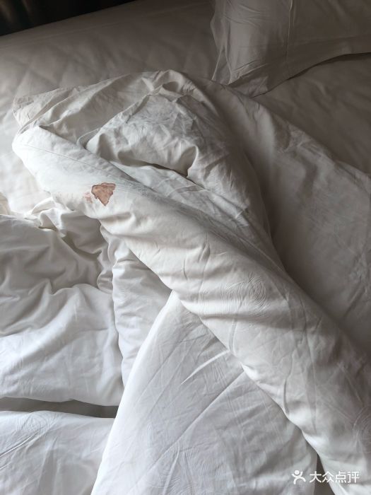 正阳天龙大酒店图片 - 第8张