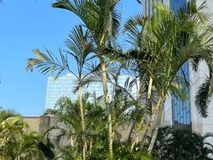 -澳门喜来登大酒店