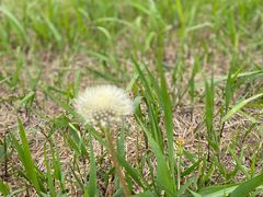 -汉长安城未央宫国家考古遗址公园