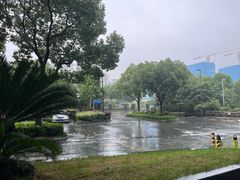 -上海浦东绿地铂骊酒店