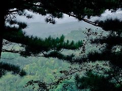-五龙城郊森林公园