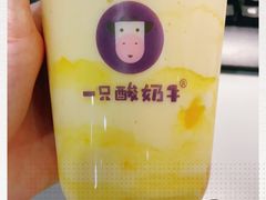 -一只酸奶牛(东方广场店)