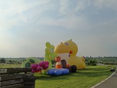 -空港花田景区