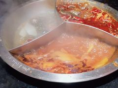 -大龙燚火锅(南山大道店)