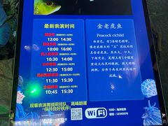 -合肥海洋世界