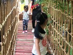 -呀路古热带植物园