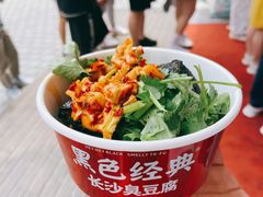 -黑色经典臭豆腐·湖南特产(坡子街店)