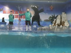 -重庆欢乐海底世界
