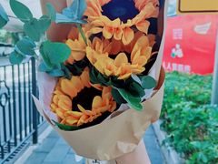 -溪岸路花鸟市场