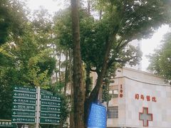 -华中科技大学同济医学院附属同济医院(汉口院区)