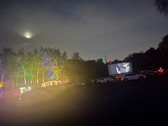 -枫花园汽车电影院(朝阳公园店)