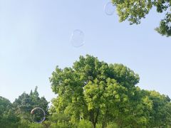 -苏州上方山国家森林公园