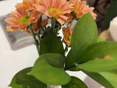 -泓0871臻选云南菜·味庄