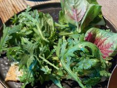 -毛辣果·酸(OHA复兴西路店)