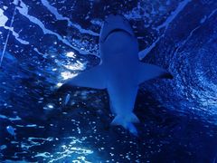 -常州海昌海洋探索馆